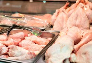 مرغ‌های زیر دو کیلو سالم‌تر هستند/ در کل دنیا معمولا مرغ با وزن پایین مصرف می‌شود