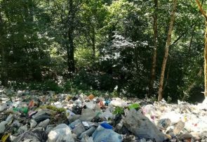 انباشت بی‌اندازه زباله در جنگل‌ های مازندران