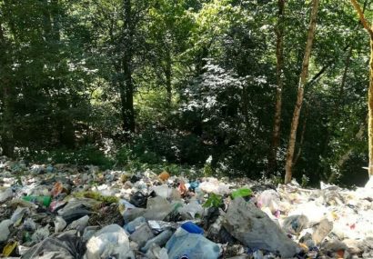 انباشت بی‌اندازه زباله در جنگل‌ های مازندران