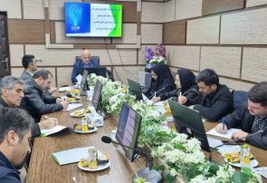 ترویج فرهنگ قرض الحسنه از اولویت‌های بانک مهر ایران است