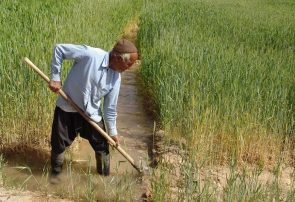 بررسی مشکلات کشاورزان در ایران