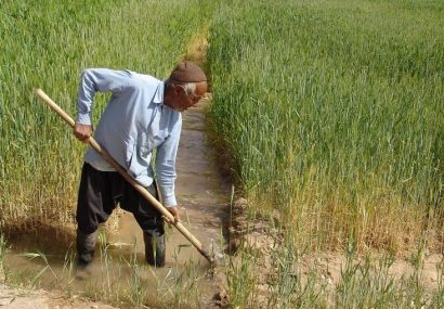 بررسی مشکلات کشاورزان در ایران بررسی مشکلات کشاورزان در ایران